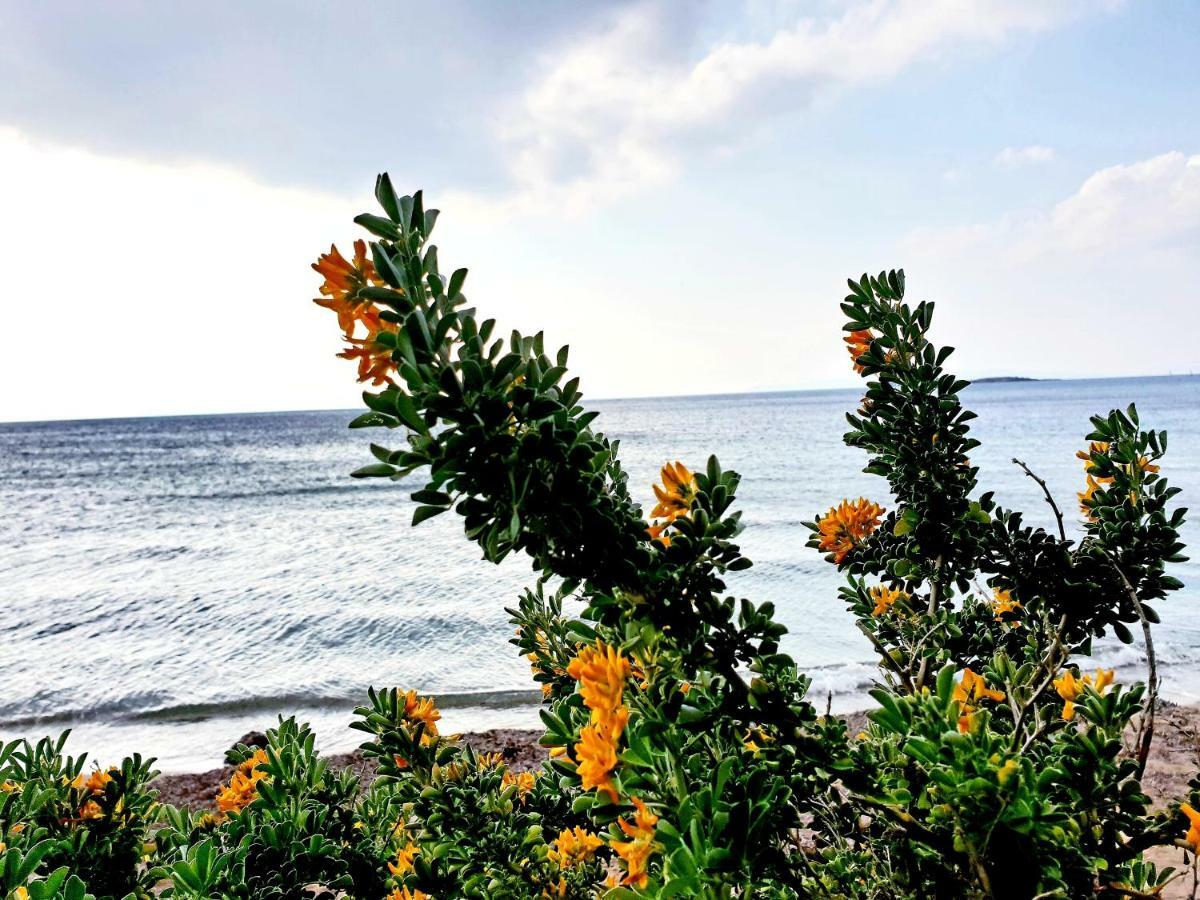 Beautiful Brand New Apartment Seaside 雅典 外观 照片
